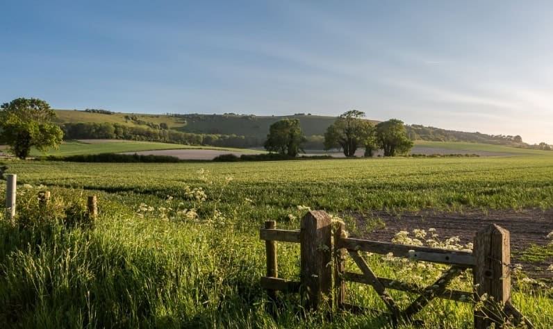 |Blisworth Hill Offices landscape|Sustainable office space|AD Energy Plant|Sustainable office spaces at Blisworth Hill Farm|The rural views of the Blisworth Hill Farm business park|Rural cafe in Blisworth with views of the business park pond.