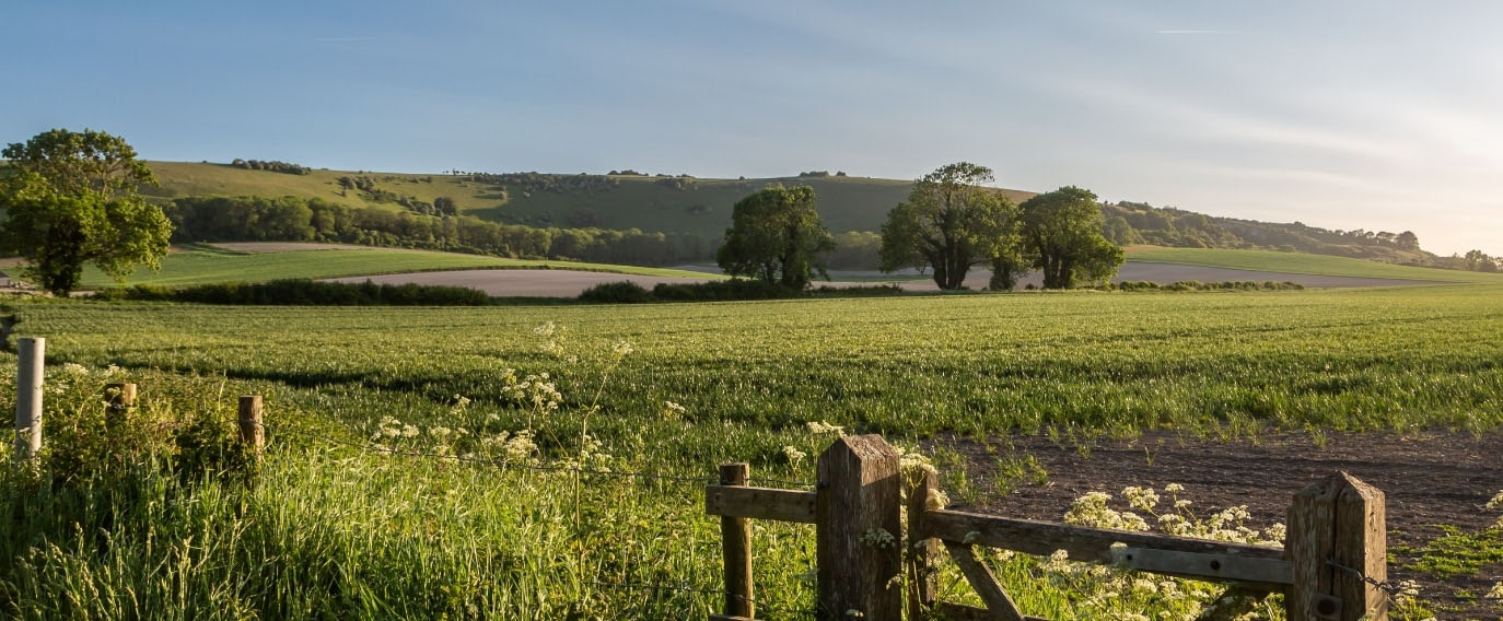 Blisworth Hill Offices landscape