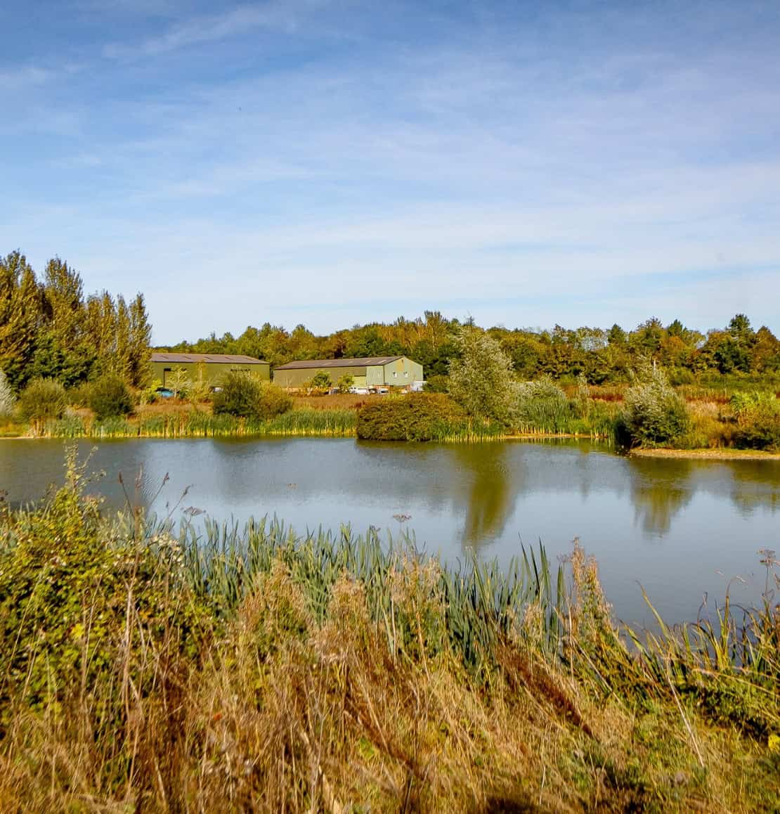 Beautiful walking trail by a pond in Blisworth with greenery and blue sky.