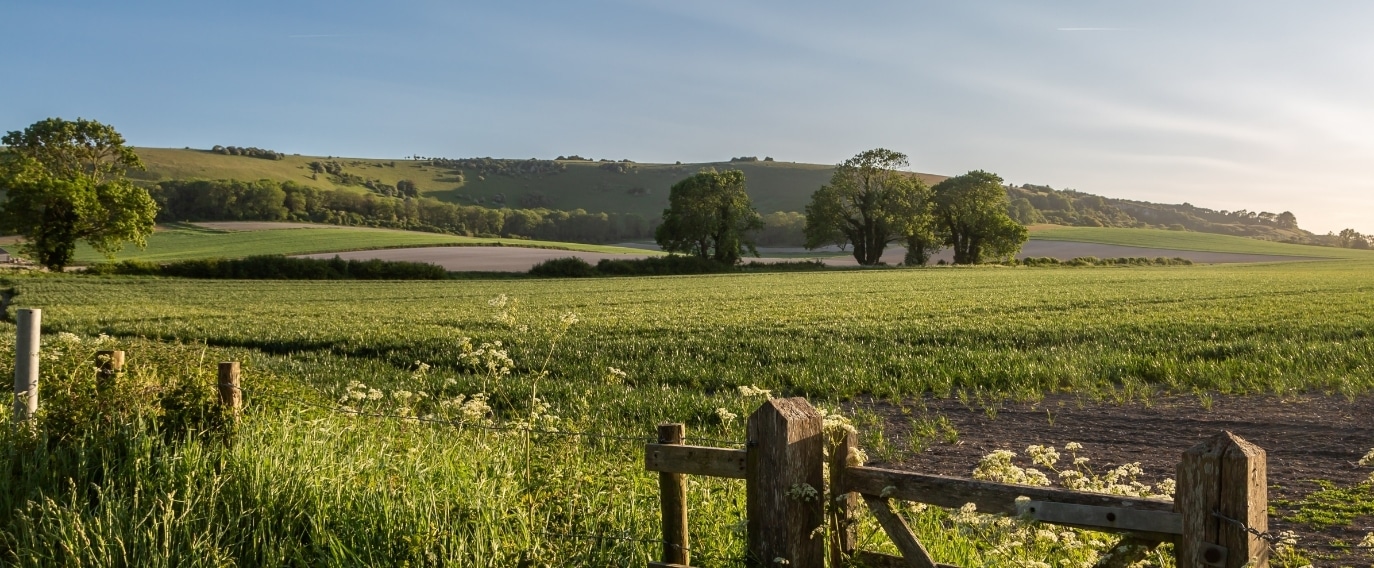 dec-blog-header The rural views of the Blisworth Hill Farm business park