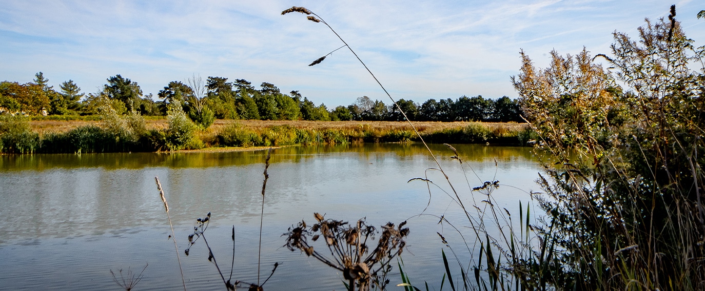 office-benefits-countryside-walks Blisworth Hill Offices countryside walks